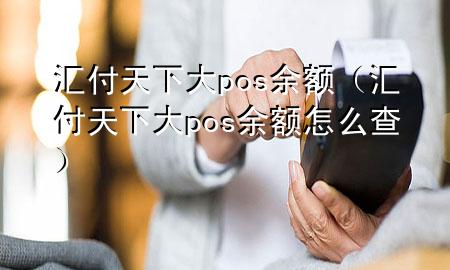 汇付天下大pos余额(汇付天下大pos余额怎么查)