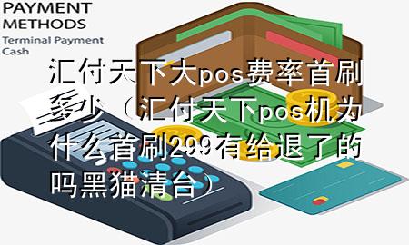 汇付天下大pos费率首刷多少(汇付天下pos机为什么首刷299有给退了的吗黑猫清台)