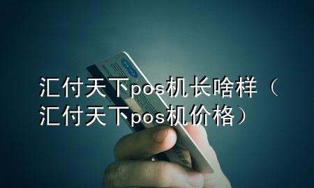 汇付天下pos机长啥样（汇付天下pos机价格）