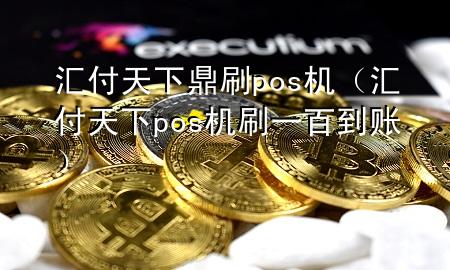 汇付天下鼎刷pos机（汇付天下pos机刷一百到账）