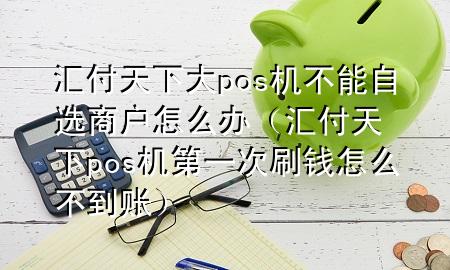 汇付天下大pos机不能自选商户怎么办（汇付天下pos机第一次刷钱怎么不到账）