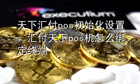 天下汇付pos初始化设置,汇付天下pos机怎么绑定终端