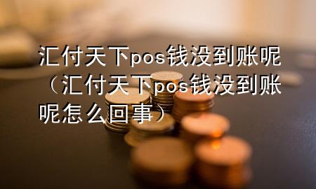 汇付天下pos钱没到账呢（汇付天下pos钱没到账呢怎么回事）