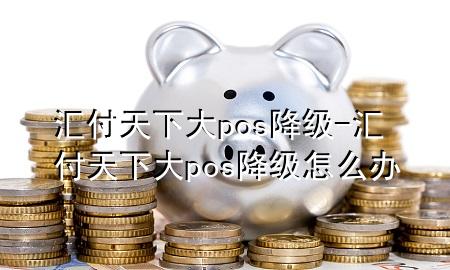 汇付天下大pos降级-汇付天下大pos降级怎么办