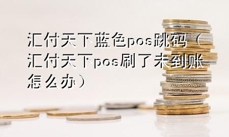 汇付天下蓝色pos跳码（汇付天下pos刷了未到账怎么办）