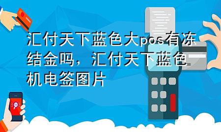 汇付天下蓝色大pos有冻结金吗,汇付天下蓝色机电签图片
