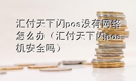 汇付天下闪pos没有网络怎么办(汇付天下闪pos机安全吗)
