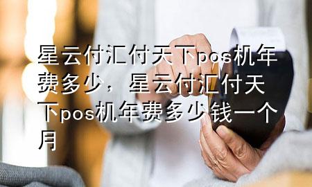 星云付汇付天下pos机年费多少，星云付汇付天下pos机年费多少钱一个月