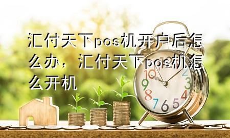 汇付天下pos机开户后怎么办,汇付天下pos机怎么开机