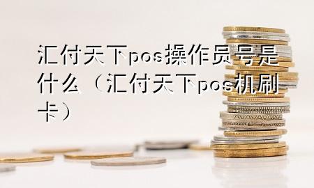 汇付天下pos操作员号是什么(汇付天下pos机刷卡)