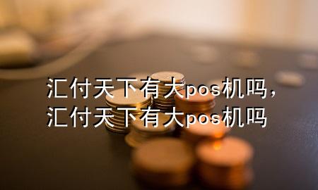 汇付天下有大pos机吗，汇付天下有大pos机吗