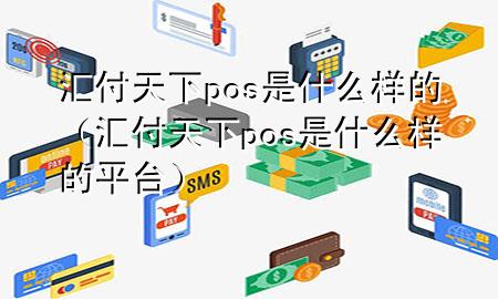 汇付天下pos是什么样的（汇付天下pos是什么样的平台）