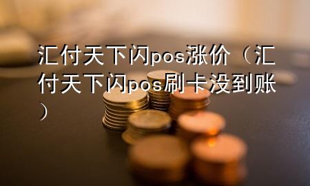 汇付天下闪pos涨价(汇付天下闪pos刷卡没到账)