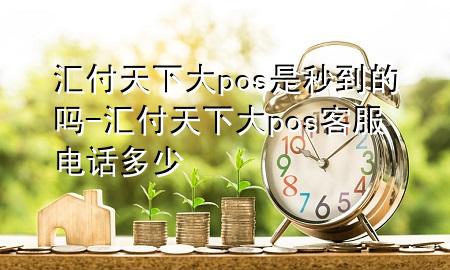汇付天下大pos是秒到的吗-汇付天下大pos客服电话多少