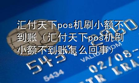 汇付天下pos机刷小额不到账(汇付天下pos机刷小额不到账怎么回事)