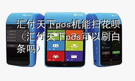 汇付天下pos机能扫花呗(汇付天下pos可以刷白条吗)